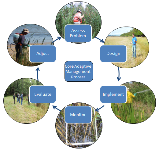 Adaptive Management Diagram