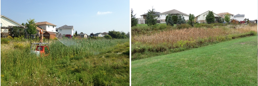 Before and after fire chief