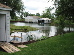 The fire hazard was eliminated after treatment. Photo credit: Phragmites.org