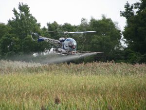Aerial application of herbicide. Photo: Lake Erie CWMA