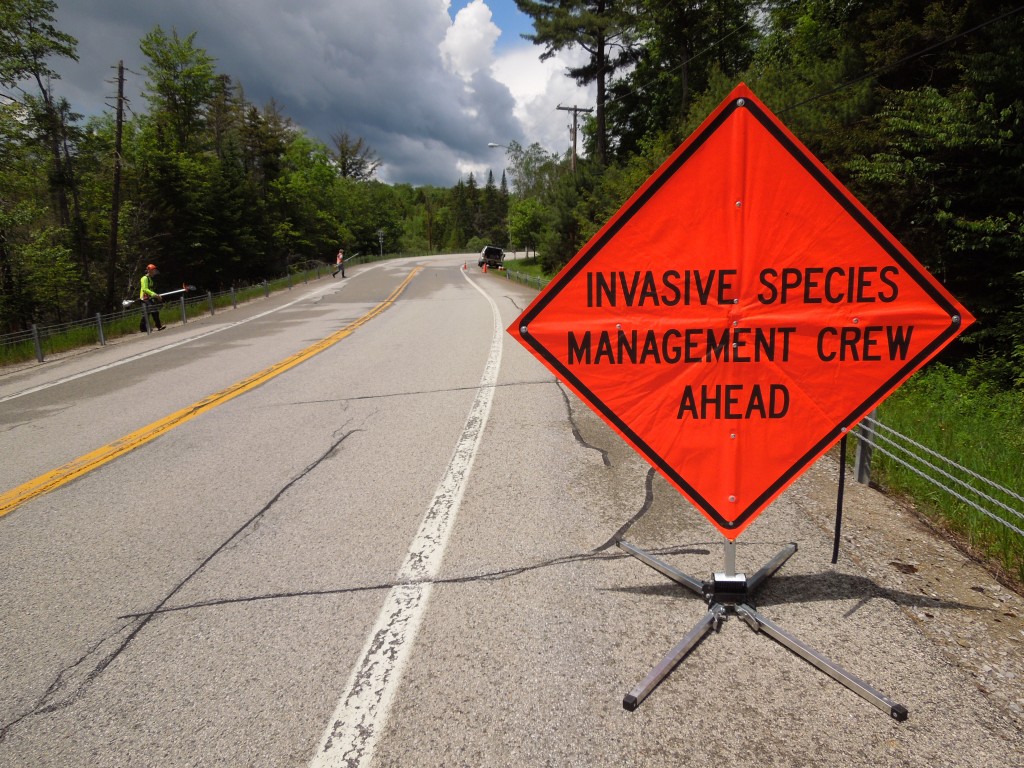 invasive species management crew ahead
