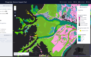 Phragmites Decision Support Tool logo