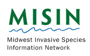 MISIN logo