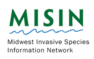 MISIN logo