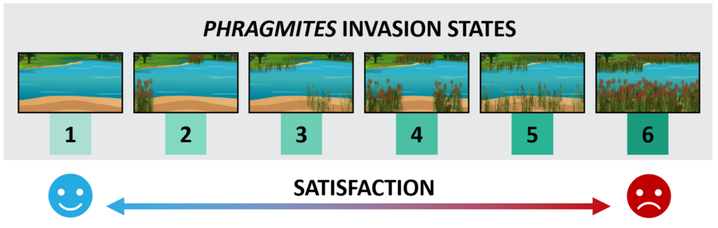 Satisfaction in PAMF decreases with invasion state.