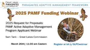 2025 AAMP webinar flyer